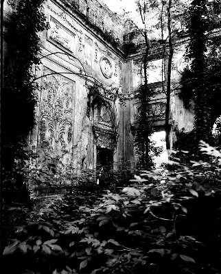 Pentax 6x7 55mm Delta 400