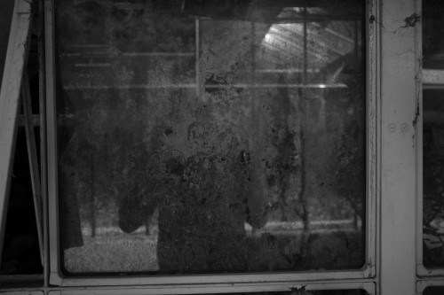 L1011215.JPG