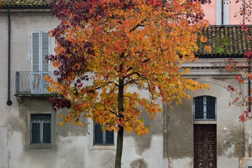 222201011fPIZZIGHETTONE-14.jpg