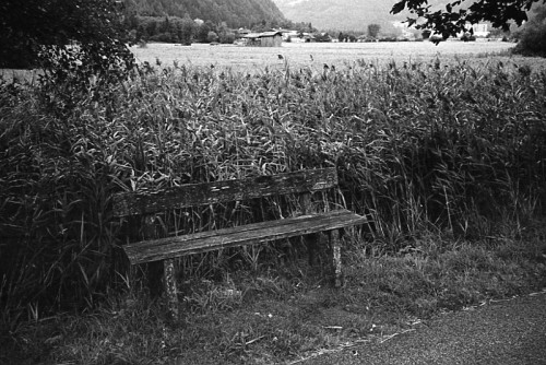 img029.jpg