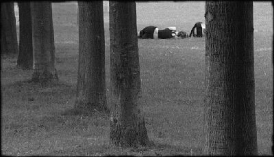nel-parco.jpg