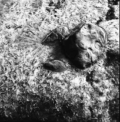 HSB 503 CX-Planar 80/2.8-Delta 400............