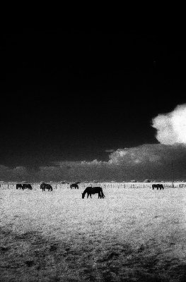image0002.jpg