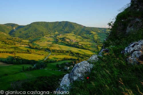 255201205aPENNABILLI-0068.jpg