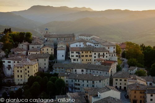 255201205aPENNABILLI-0077.jpg