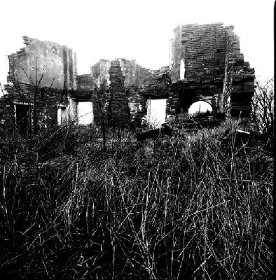 HSB.Distagon 50/4 Delta 400-Ilfosol