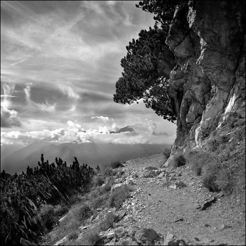 sentiero_Bogani02.jpg