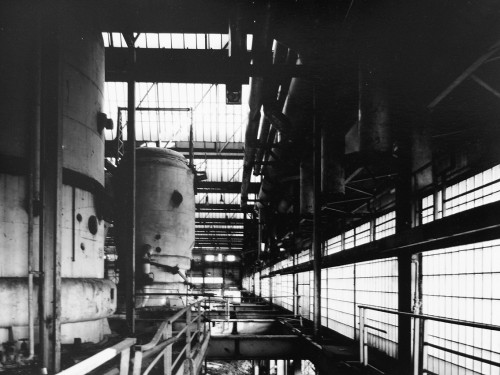 _DSF1975.jpg