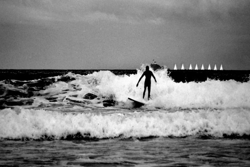 surf8v.jpg