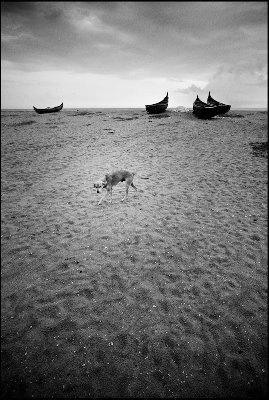 Leica M8 - Voigtlander Super Wide Heliar 15mm