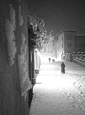 neve carmini bn.jpg